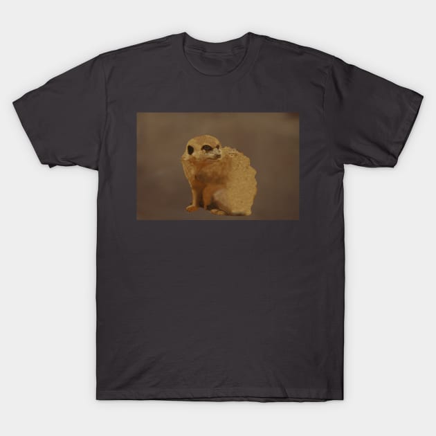 Meerkat T-Shirt by Artimaeus